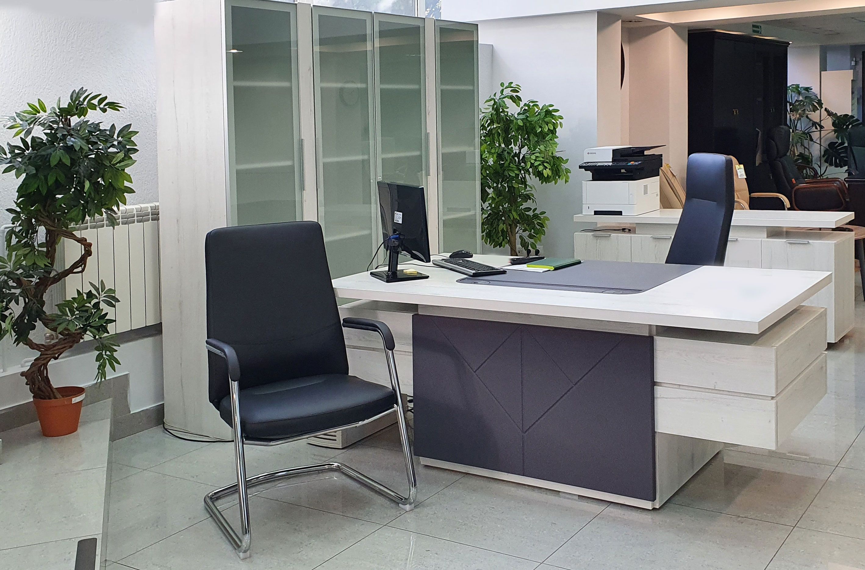 Шкаф со стеклом TS-40+TS-09.1 фото 3