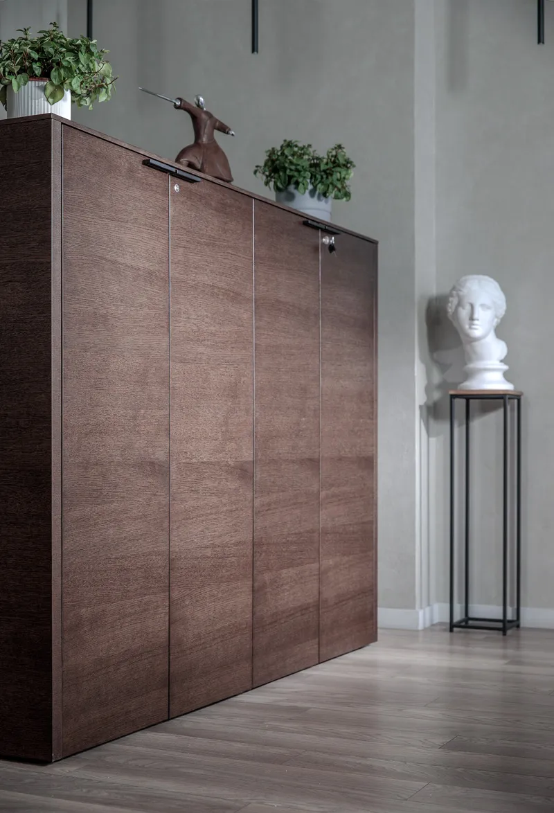 Шкаф для бумаг х2 RAIL фото 2