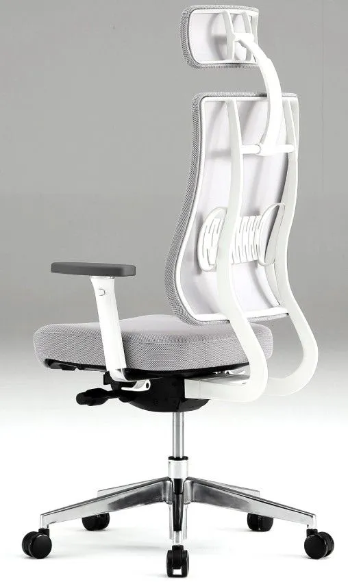 Ортопедическое кресло Falto X TRANS фото 1