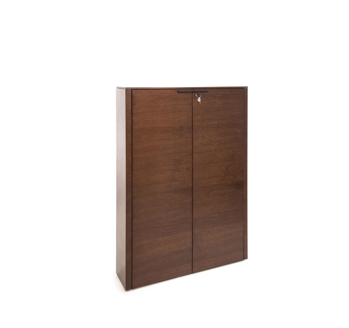 Шкаф для бумаг RAIL фото 1